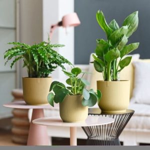 Round ribbed plant pot - yellow