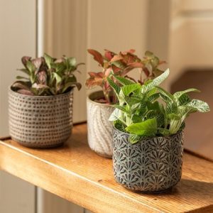 Rustic natural print plant pot set of 3