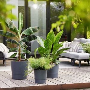 Self-watering plant pot - dark grey