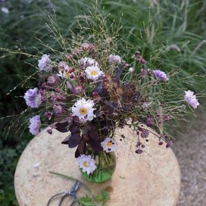 Smoky perennial cutting garden collection