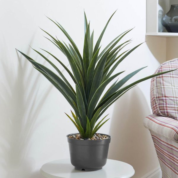 Spiky Sisal Potted Plant