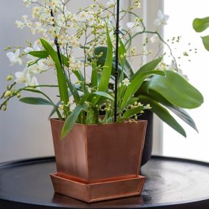 Square copper pot and saucer