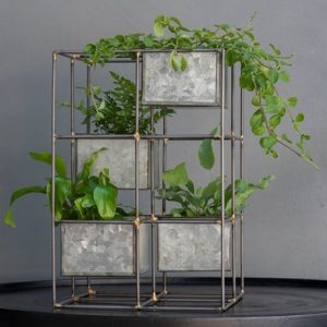 Starter fern & plant tower combination