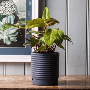 Stoneware plant pot & saucer - dark grey