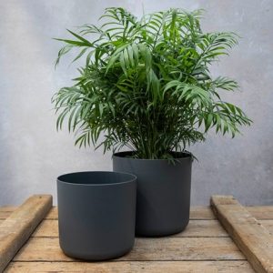 Straight edged plant pot - dark grey