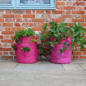 Strawberry Patio Planters (2 Pack)