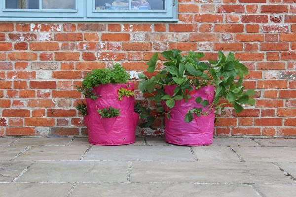 Strawberry Patio Planters (2 Pack)