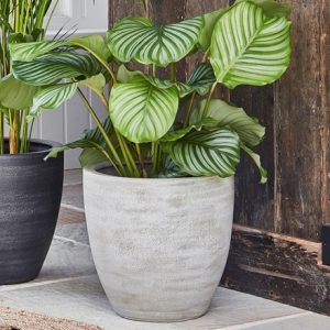 Tapered large plant pot - grey