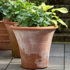 Terracotta arc pot