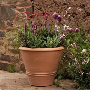 Terracotta citrus pot