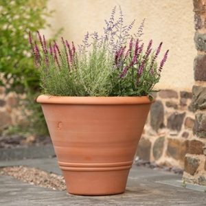 Terracotta olive pot