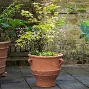 Thrapsano terracotta pot