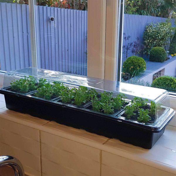 Windowsill Propagator Kit - 3 Sets For 90 Pla