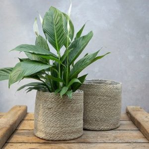 Woven jute round plant pots cream - set of 2