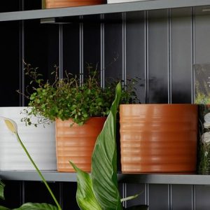 Matte glaze plant pot - terracotta