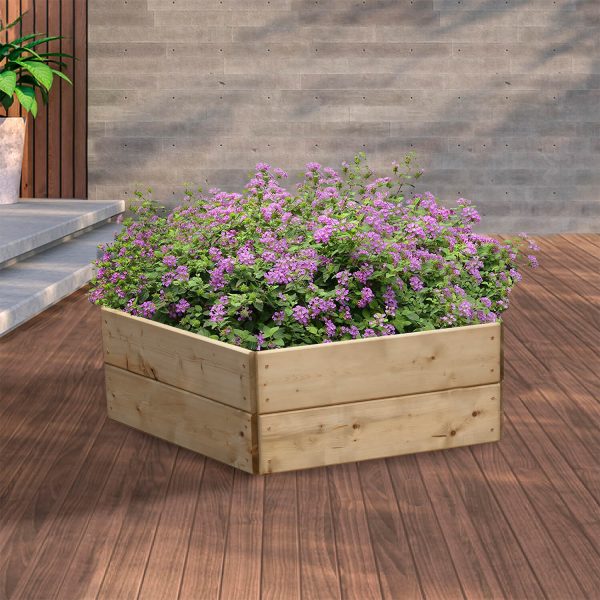 Pentagonal Raised Bed 2 Tier (30Cm) Medium 60Cm