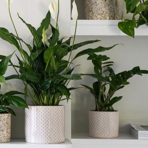 Printed garland plant pot - taupe