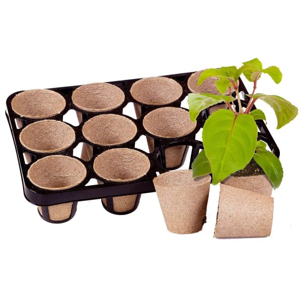 Skelly Tray 3 Pack With 36 Bio Pots