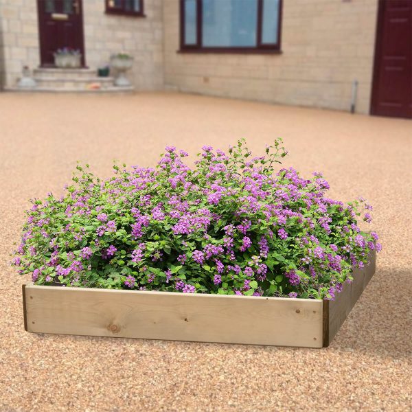 Square Raised Bed 1 Tier (15Cm) Large 90 X 90Cm