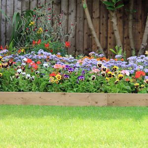 Timber Lawn Edging 120Cm 4Pk