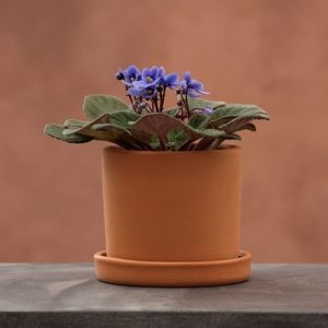 Indoor terracotta cylinder pot with glazed saucer