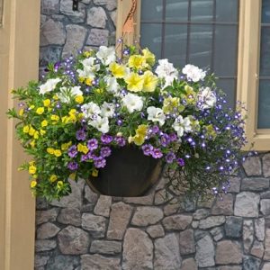 Nautical chic - Easyplanter for hanging baskets & patio pots