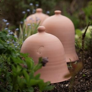 Terracotta bell cloche