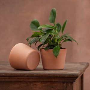 Terracotta pot - glazed inside