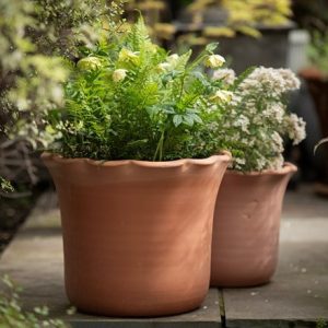 Terracotta ruffle pot