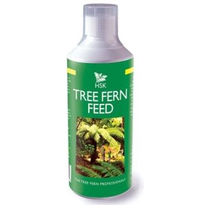 Tree fern feed