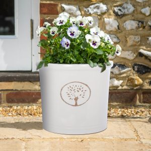 38Cm Off White Cotswold Cylinder Set Of 2