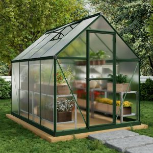 6' x 8' Palram Canopia Mythos Walk In Green Polycarbonate Greenhouse (1.85m x 2.47m)