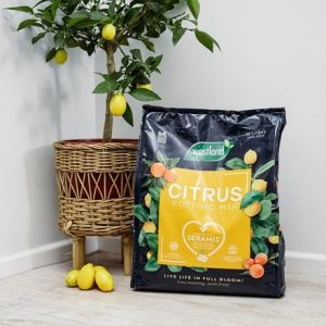 Citrus potting mix