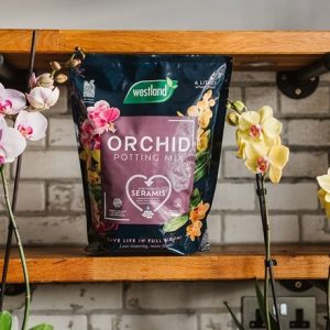 Orchid potting mix