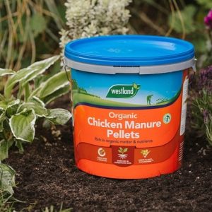 Organic chicken manure pellets