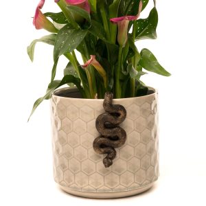 Pot Buddies Snake Bronze