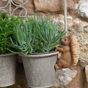 Pot Buddies Squirrel Nutkin Colour