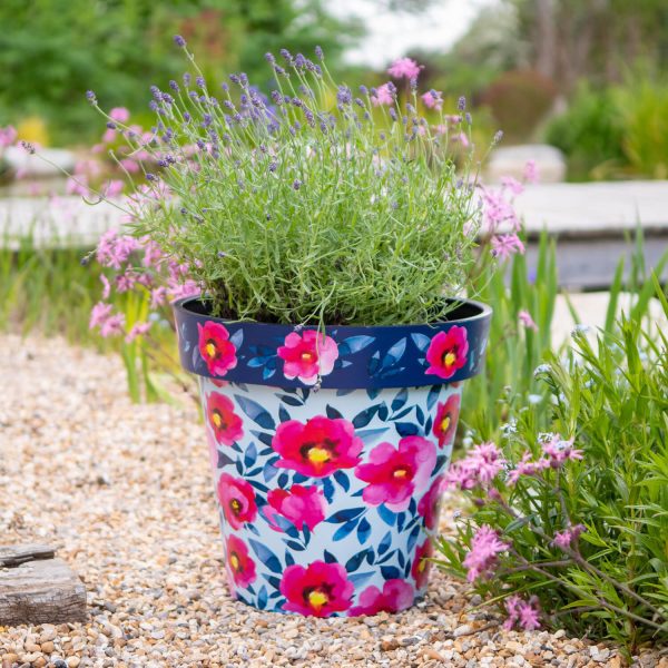 Pink Poppies 30Cm Pot Set Of 2