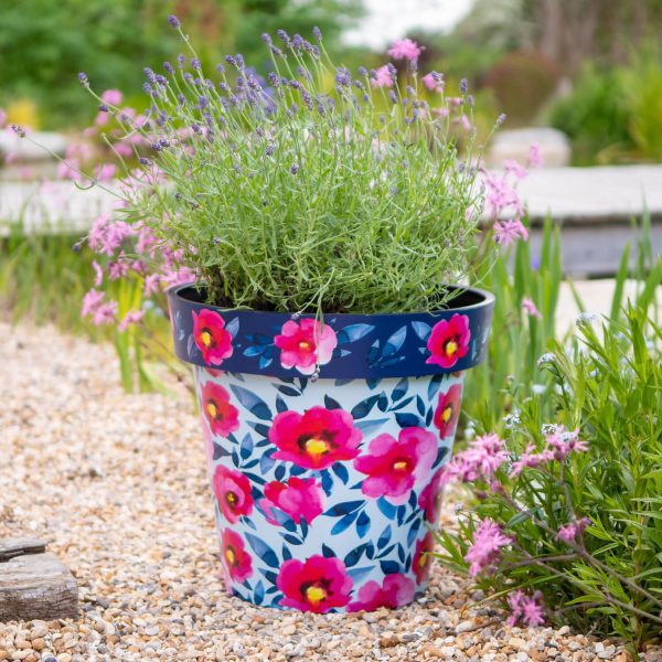 Pink Poppies 38Cm Pot Set Of 2