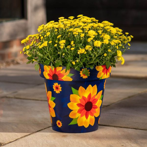 Sunflower 30Cm Pot Set Of 2