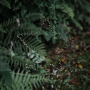 Star garden stake light