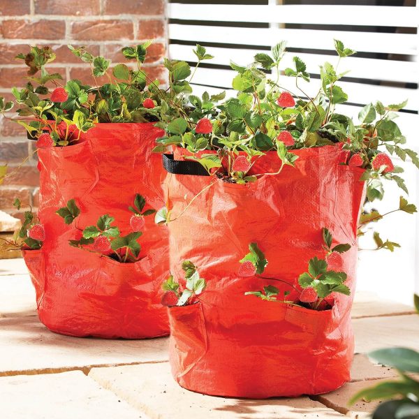 Strawberry Planters Set of 2 H45 xW35 xD35cm