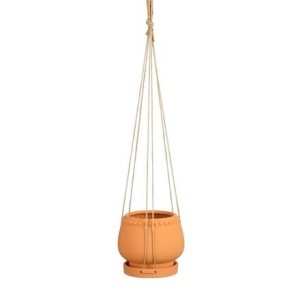 Hanging terracotta plant pot