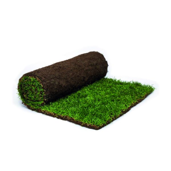 Rolawn Medalion Turf Roll