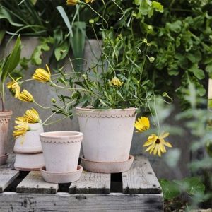 Simple scallop plant pot & saucer - terracotta