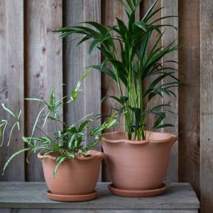 Indoor terracotta ruffle pot with glazed saucer