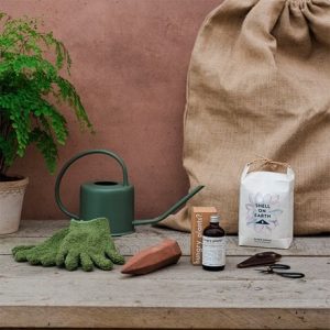 The houseplant lover's gift set