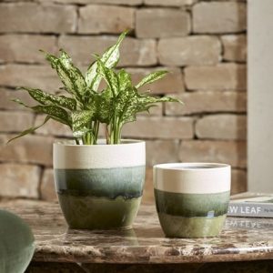 Glazed ombre plant pot - green