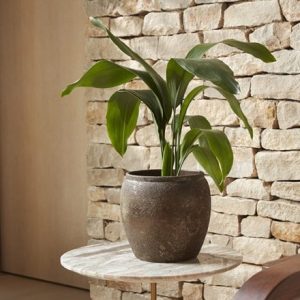 Large rustic urn plant pot - dark brown