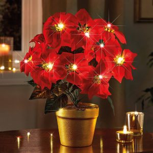 Light-Up Potted Poinsettia Arrangement